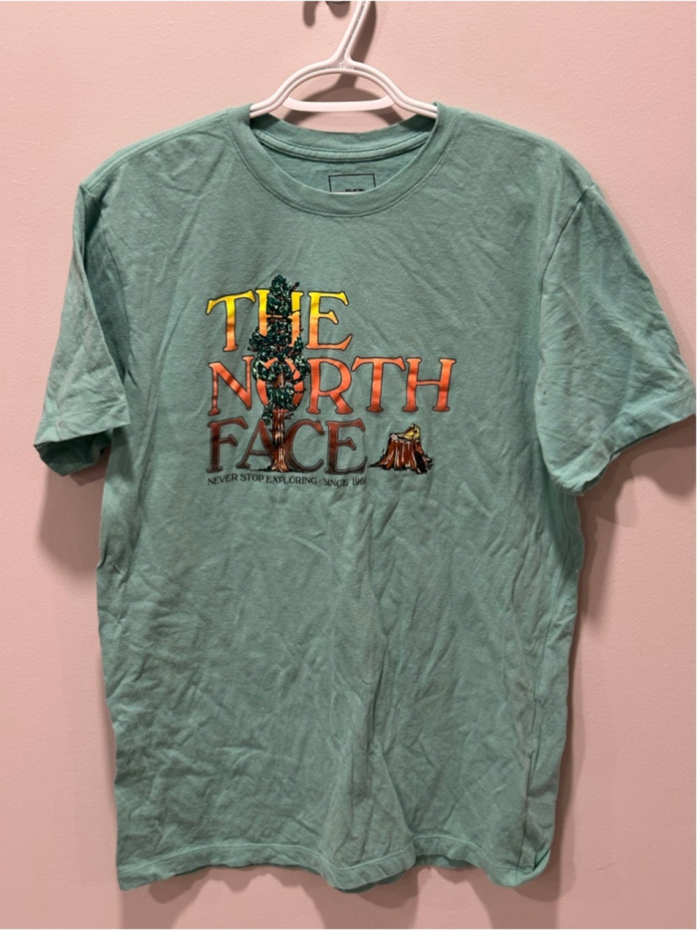 Men's The North Face Graphic Tee, Size M, Green and Orange